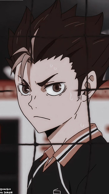 Nishinoya, hinata, Haikyuu, anime HD phone wallpaper