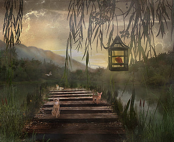 fantasy, bridge, nature, kitty, evening HD wallpaper