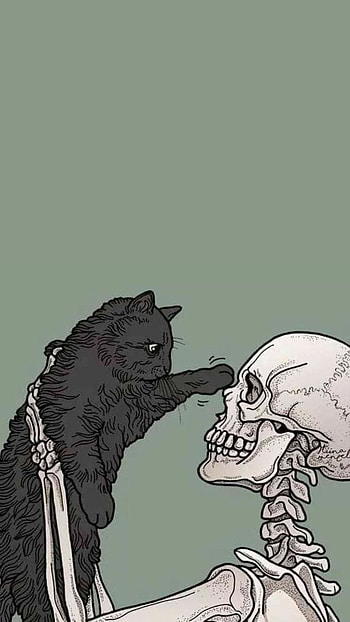 skeleton and cat HD phone wallpaper