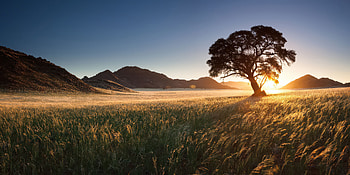 Golden Twilight Nature Evening Glow, nature, evening, twilight HD wallpaper