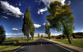 take me home, scenery, scenic, clouds, trees, sky, road, nature, beauty HD wallpaper