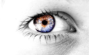 Colorful Eye, eye, abstract HD wallpaper