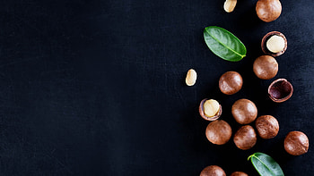 Macadamia nutrition, Nutritional facts, Healthy benefits, Nourishing snack HD wallpaper