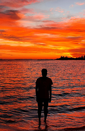 Blissful Evening, Beach, Maldives, silhouette, paradise HD phone wallpaper
