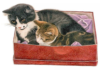 Cats in box, kitten, box, painting, art, cat HD wallpaper