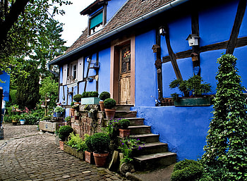 blue house, blue, flower pots, house, steps, beautiful, nature, flowers HD wallpaper