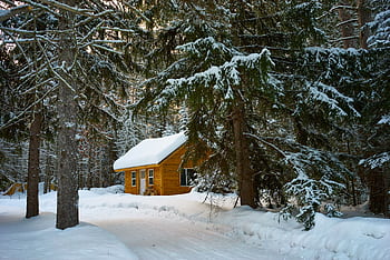 Charming winter cabin nestled among snowy evergreens in Duluth, MN. HD wallpaper