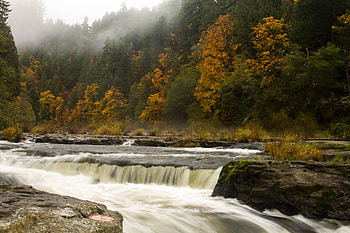 Nature, Trees, Stones, Waterfall, Fog, Flow, Stream HD wallpaper