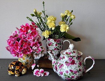 Flowers, Carnations, Geranium, Turtle, Bug, Porcelain HD wallpaper