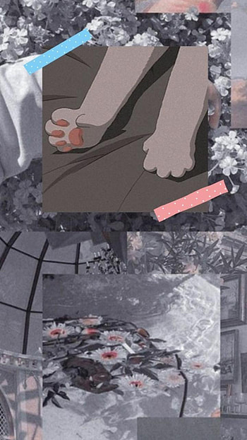 Aesthetic, Cat paws, Aesthetic cat, Cat, Cat HD phone wallpaper