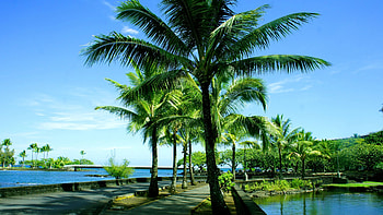 Hawaiian splendor, Vibrant sunsets, Pacific paradise, Exotic landscapes HD wallpaper