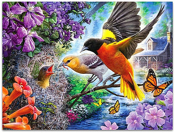 beautiful birds, springtime, birds, spring, animals HD wallpaper
