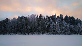 View from out on a frozen lake in Finland, clouds, trees, sky, snow, landscape HD wallpaper