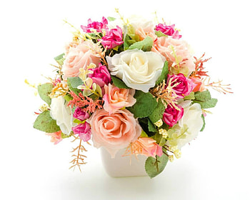 Beautiful Flowers, flowers, plants, bloom, roses HD wallpaper