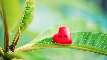 I LOVE YOU., Heart, leaves, green, red HD wallpaper