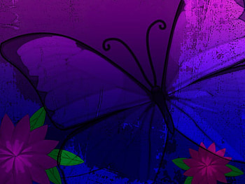 Purple Butterfly, butterfly, flower HD wallpaper