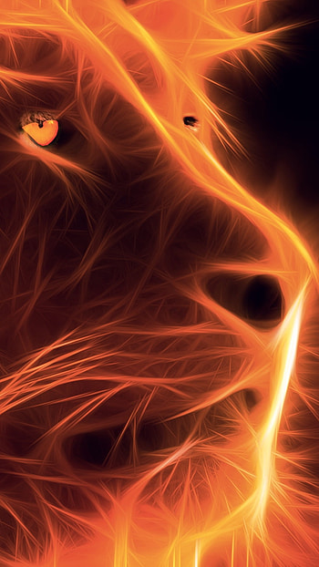 Fire Lion, Background HD phone wallpaper