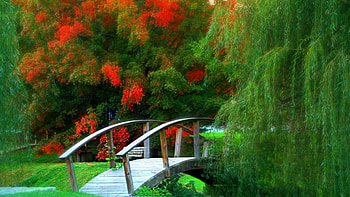 Wood Bridge, bridge, Wood, 1920, 1080 HD wallpaper