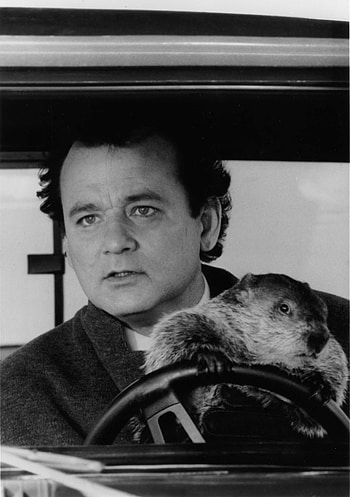 Groundhog Day Movie, Time loop comedy, Groundhog Day movie, Phil Connors HD phone wallpaper