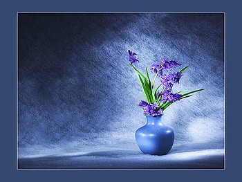 Singularly purple, purple flowers, light, blue background, green leaveves, blue vase HD wallpaper