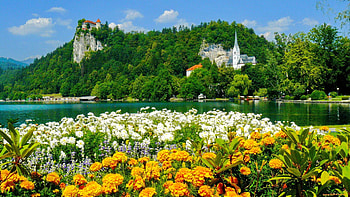 Lake Bled, river, lakeshore, delight, spring, nice, shore, delicate, trees, greenery, castle, landscape, beautiful, grass, fresh, Europe, lake, emerald, Bled, pretty, green, nature, sky, flowers, lovely, forest, Slovenia HD wallpaper