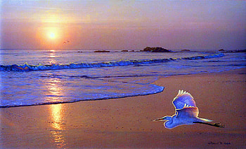 Silent wings, waves, flight, egret, sunset, ocean, beach HD wallpaper