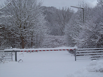 Winter-wonderland, winter, trees, snow, christmas HD wallpaper