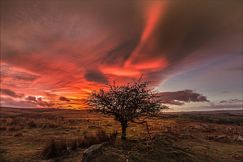 Landscape, landscape, nature HD wallpaper