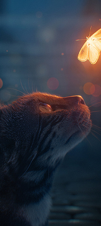 Cat and Butterfly Art, glowing, , design, animal, animals, , glow, digital art HD phone wallpaper