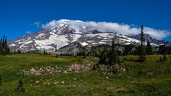 Mt Rainier, Washington, landscape, trees, sky, stones, usa, cloud HD wallpaper