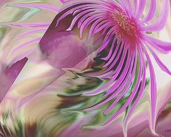 Dahlia Created Graphic, 3d and cg, pink, abstract, flower, dahlia, nature HD wallpaper