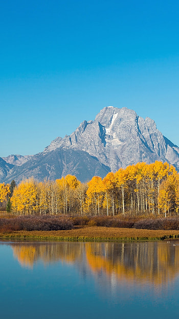 Grand Teton National Park, Autumn beauty, Wyoming, Spotlight HD phone wallpaper
