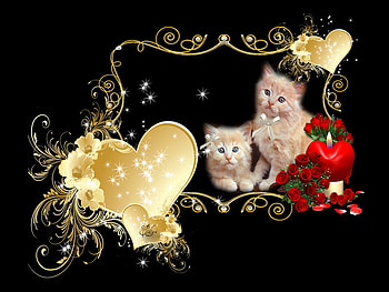 emotional and romantic love, emotional, romantic, and, love HD wallpaper