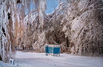 Winter Sonata, winter, art , snow, frozing trees, beautiful, park, ice HD wallpaper