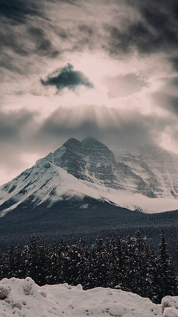 Nature, Clouds, Snow, Mountain, Vertex, Top, Forest HD phone wallpaper