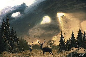 Trees, Art, Sun, Deers, Deer, Horns HD wallpaper