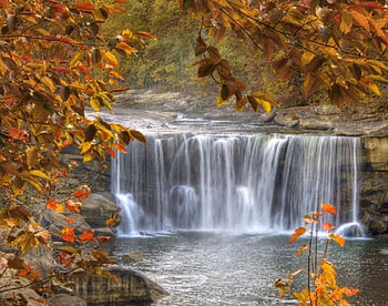 Beautiful Waterfalls, falls, trees, leaves, water HD wallpaper