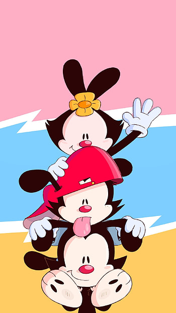 for Animaniacs, Creative fan designs HD phone wallpaper