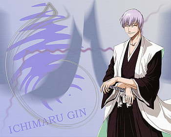 Gin Ichimaru, captain, thirteen court guard squads, bleach, soul reaper, ichimaru, gin HD wallpaper