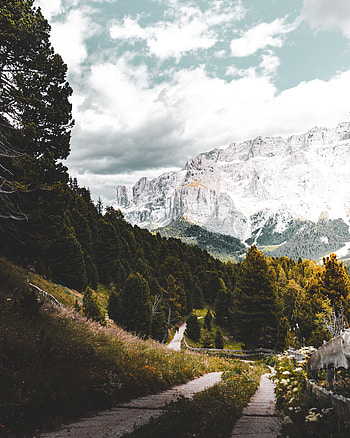 Landscape, Nature, Mountains, Forest, Track HD phone wallpaper