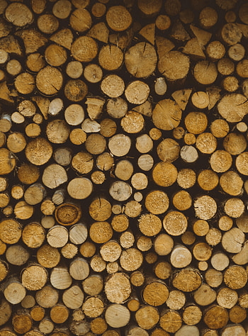 Miscellanea, Miscellaneous, Wood, Wooden, Tree, Slice, Section, Logs HD phone wallpaper
