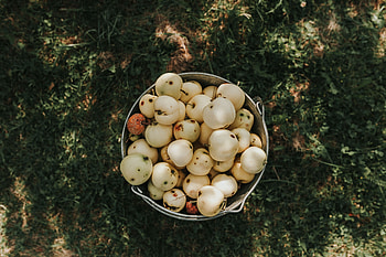 Food, Grass, Apples, Harvest, Bucket HD wallpaper