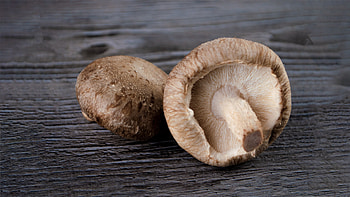 Obst & Gemse, Lebensmittel, Shiitake pilze, Pilze HD wallpaper