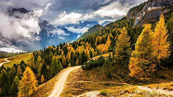 Road Between Yellow Green Autumn Trees Mountain Slope Greenery Mountains With Fog Autumn HD wallpaper