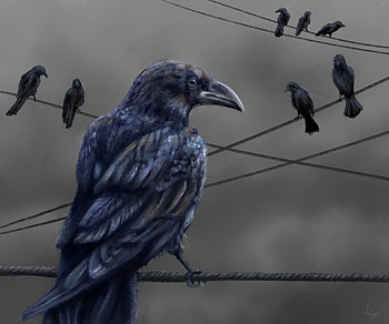 Art, Feather, Bird, Wire, Raven HD wallpaper