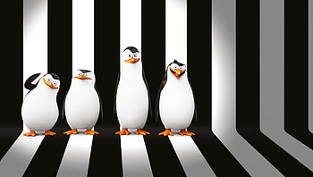 Penguins of Madagascar (2022) movie HD wallpaper