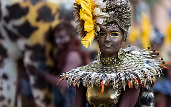 Brasil Carnival, woman, yellow, vicente concha, girl HD wallpaper