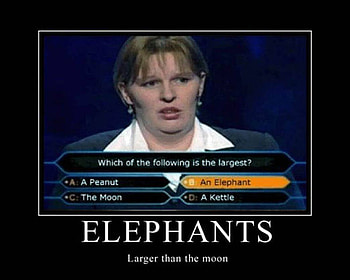 Larger Than the Moon, elephants, bigger HD wallpaper