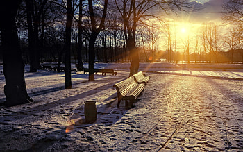 Cities, Winter, Sunset, Snow, Park, Bench, Lights Of A Sun, Rays Of The Sun HD wallpaper