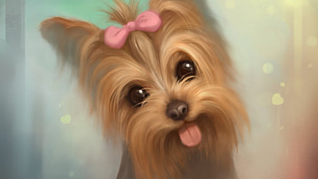 Animals, Plants, Dogs HD wallpaper